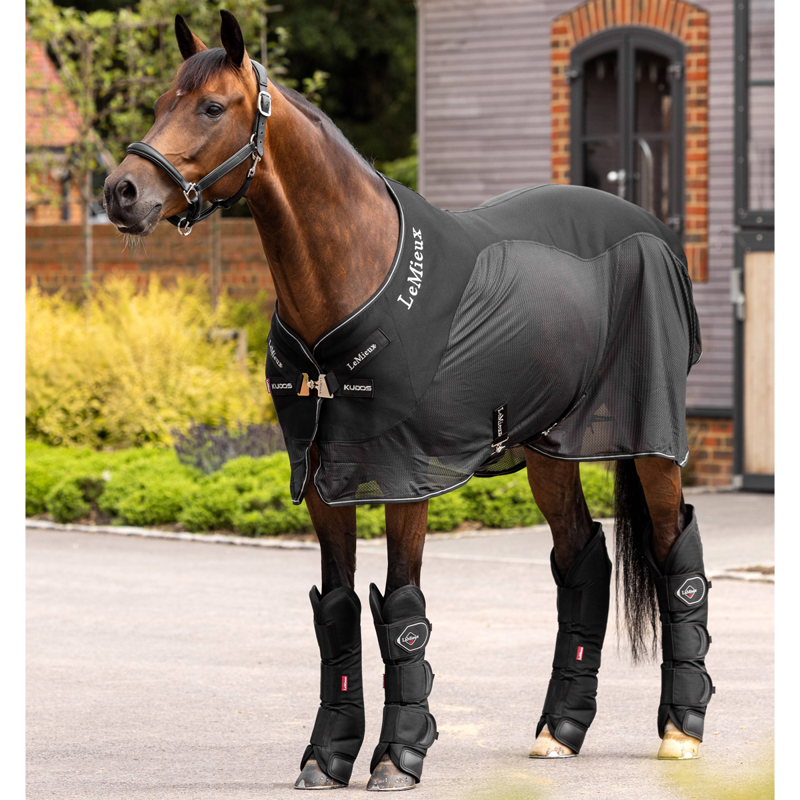 LeMieux Travel Boots - Black-4